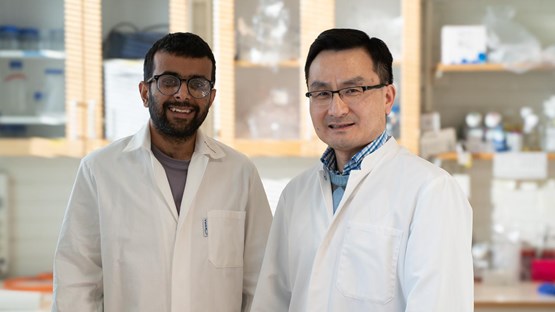 Harshit and Yaowen in lab