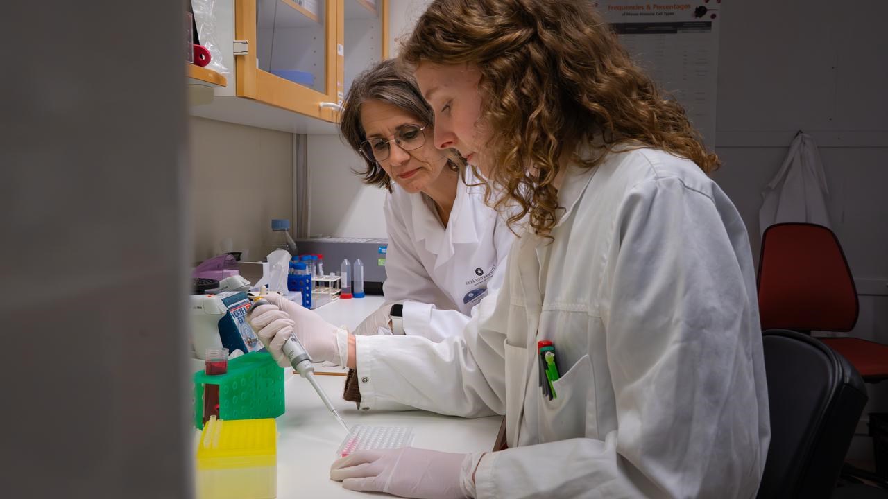 Professor Kristina Lejon and research engineer Emma Renman show that the environment in the womb can shape immune system development and help reduce the risk of type 1 diabetes, independent of genetic factors.