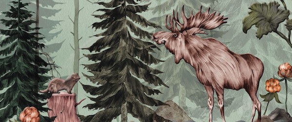 Illustration: Älg i skog