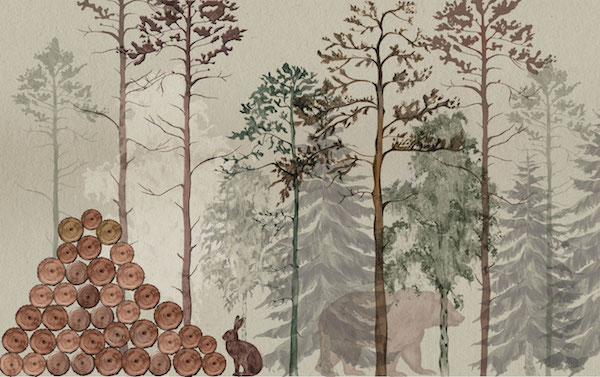 Illustration, björn i skog