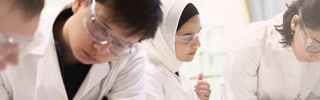 grupp studenter i laboation