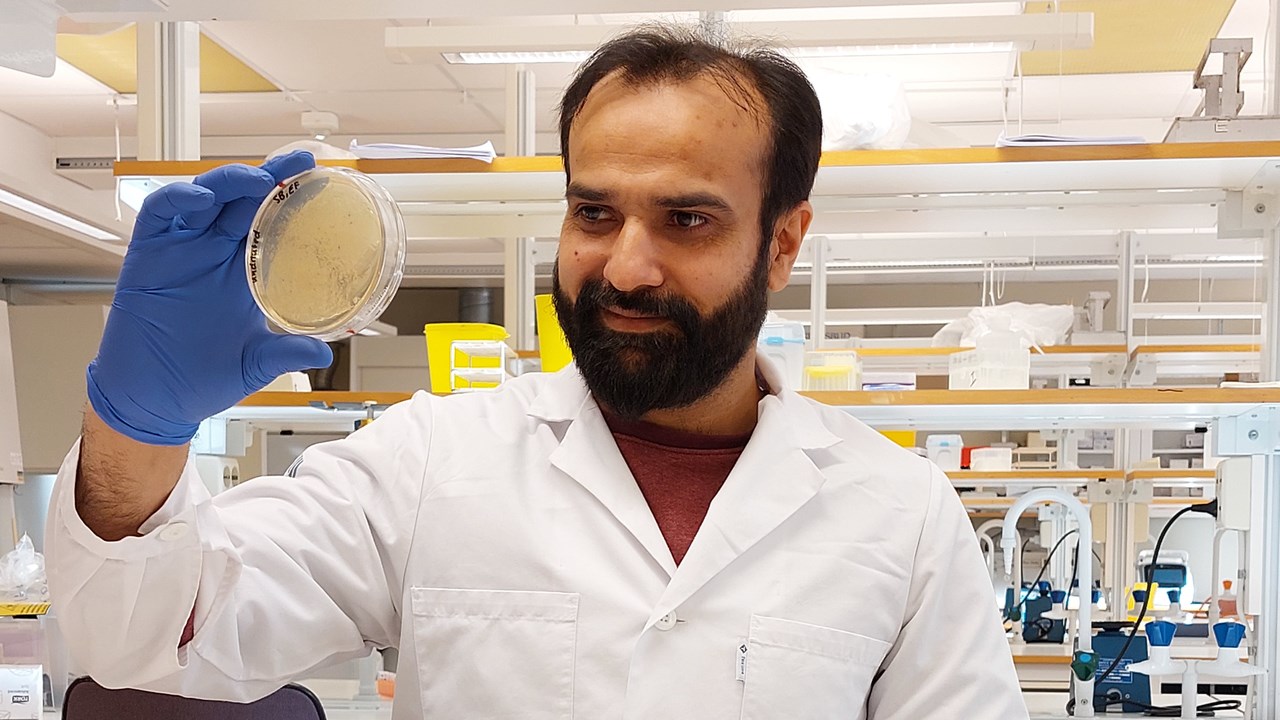 Irfan Ahmad, Institutionen för molekylärbiologi vid Umeå universitet