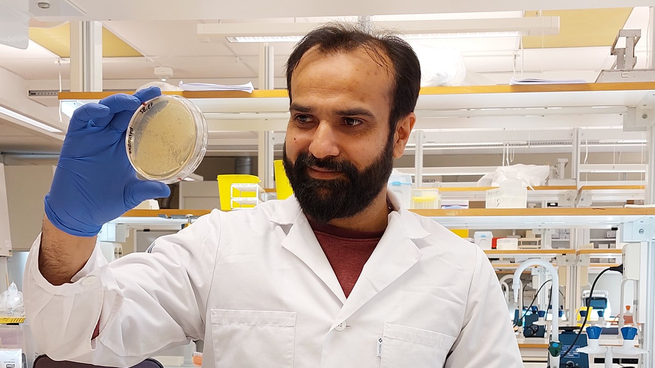 Irfan Ahmad, Institutionen för molekylärbiologi