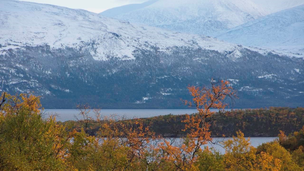 A view of the lake Torneträsk and surroundings.