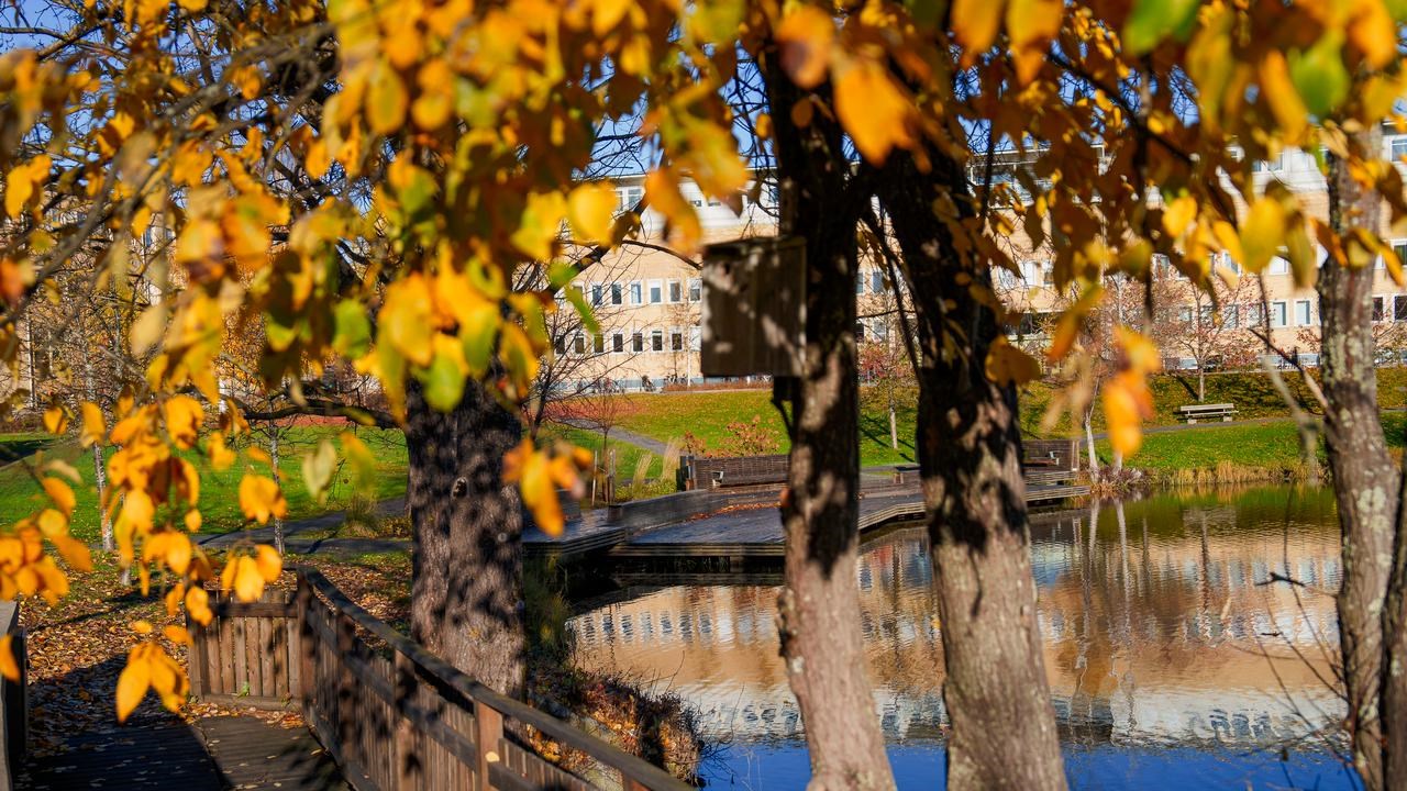 Campus i höstfärger