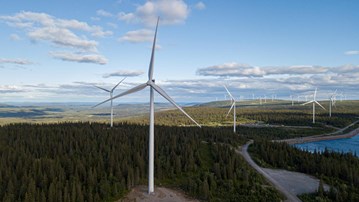 En grupp vindkraftverk i en skog.