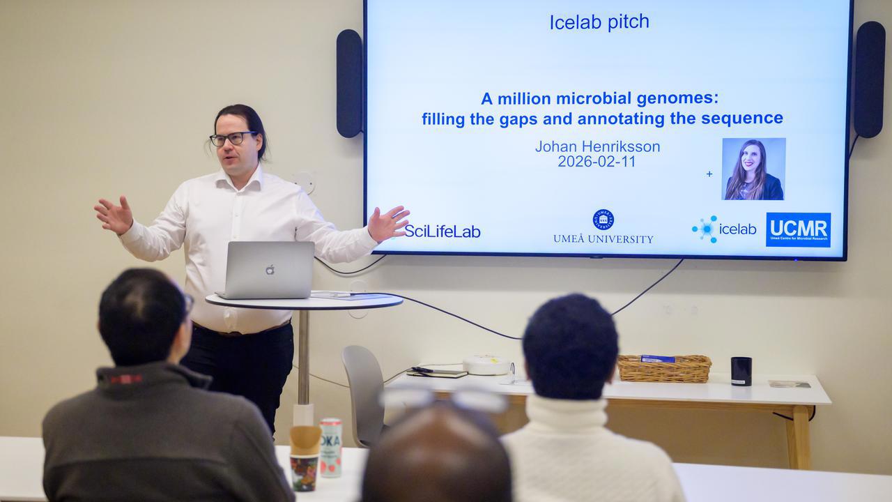 Icelab lunch pitch Johan Henriksson