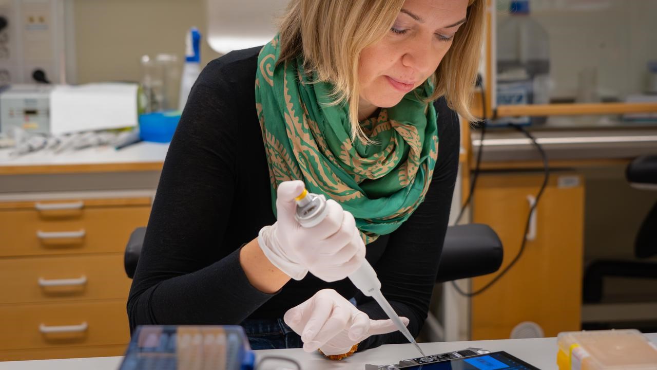 Kotryna Simonyte Sj&ouml;din, molekyl&auml;rbiolog och docent p&aring; Institutionen f&ouml;r klinisk vetenskap vid Ume&aring; universitet.