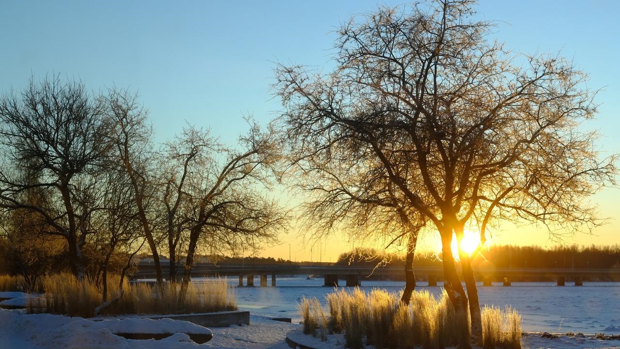 The sun is setting behind a tree in the snow.