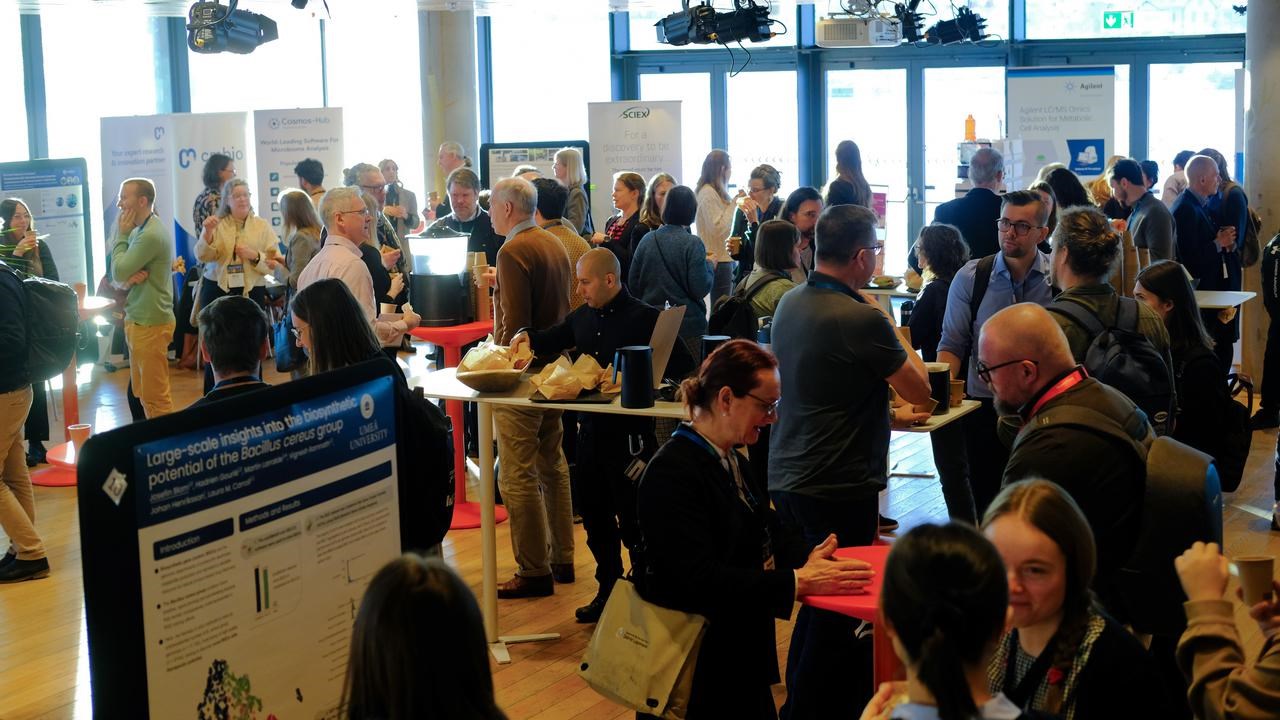 Participants of the scientific conference attend the poster session