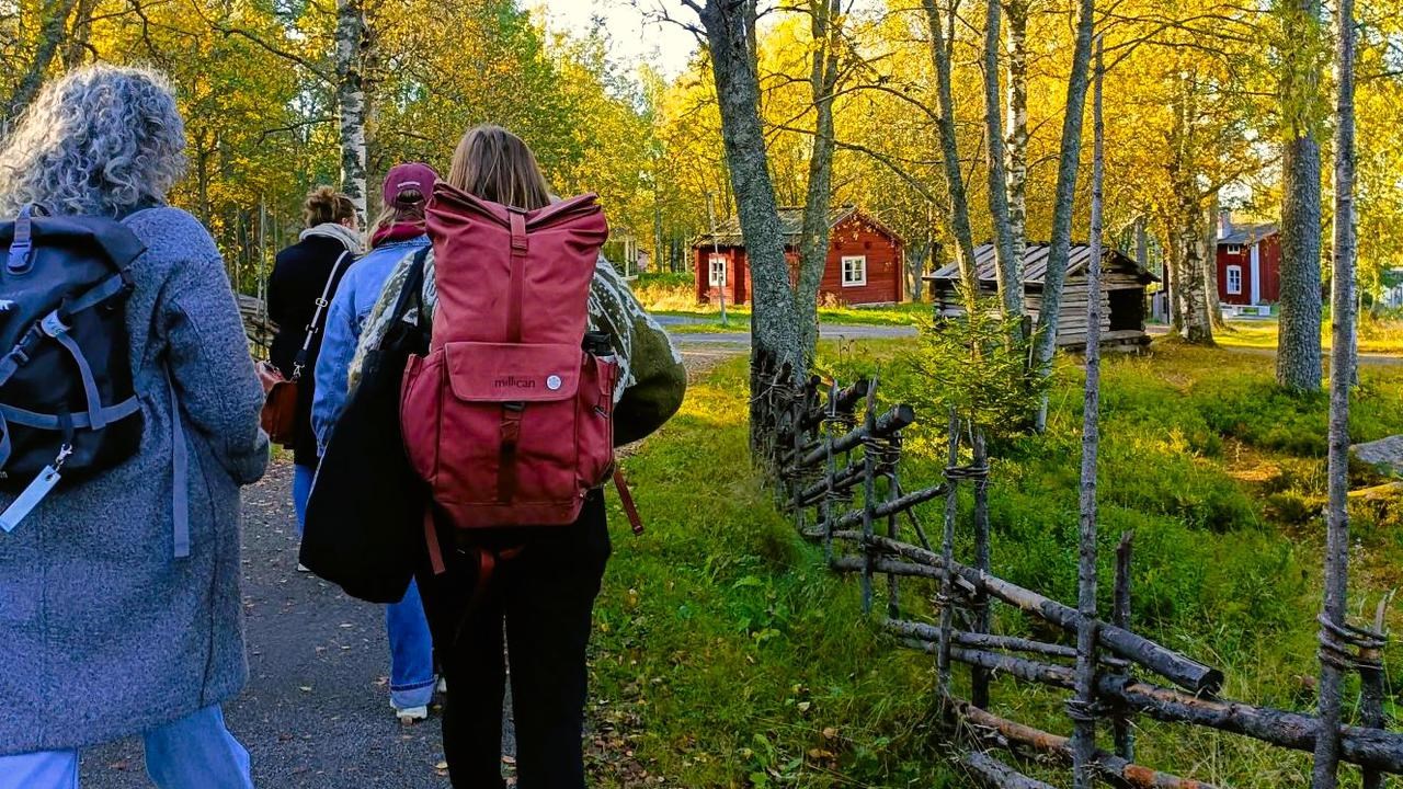 Två personer med ryggsäckar på ryggen går på en väg omgiven av gula björkar.