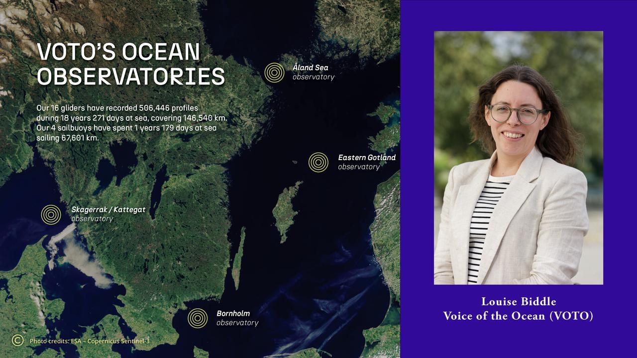 Collage VOTO map and portrait Louise Biddle