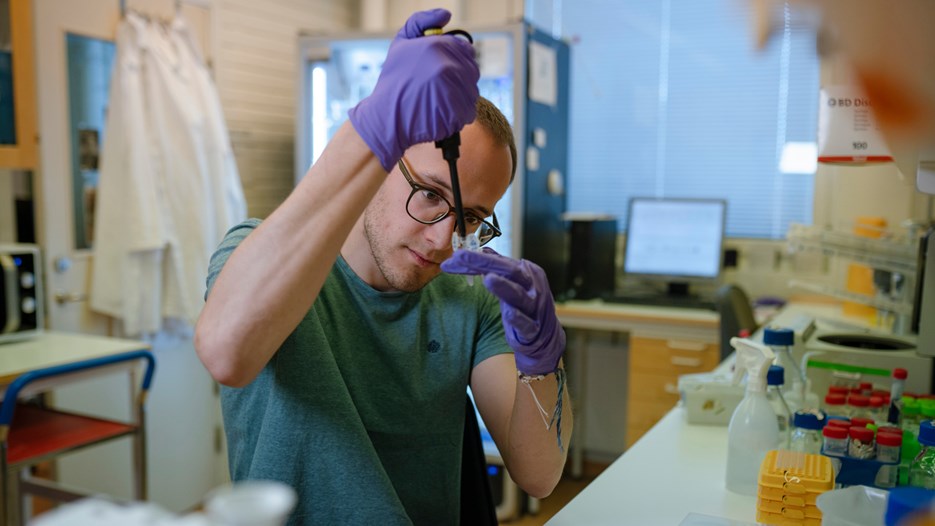 Gå till sida Undersöker ett potentiellt läkemedel mot parasiten Cryptosporidium