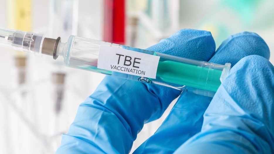 Gå till sida Kunskap räcker inte – många utomhusarbetare saknar skydd mot TBE