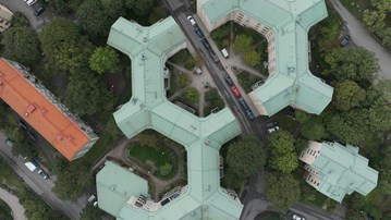 Zeno Gries / Gravity Will Take Us All