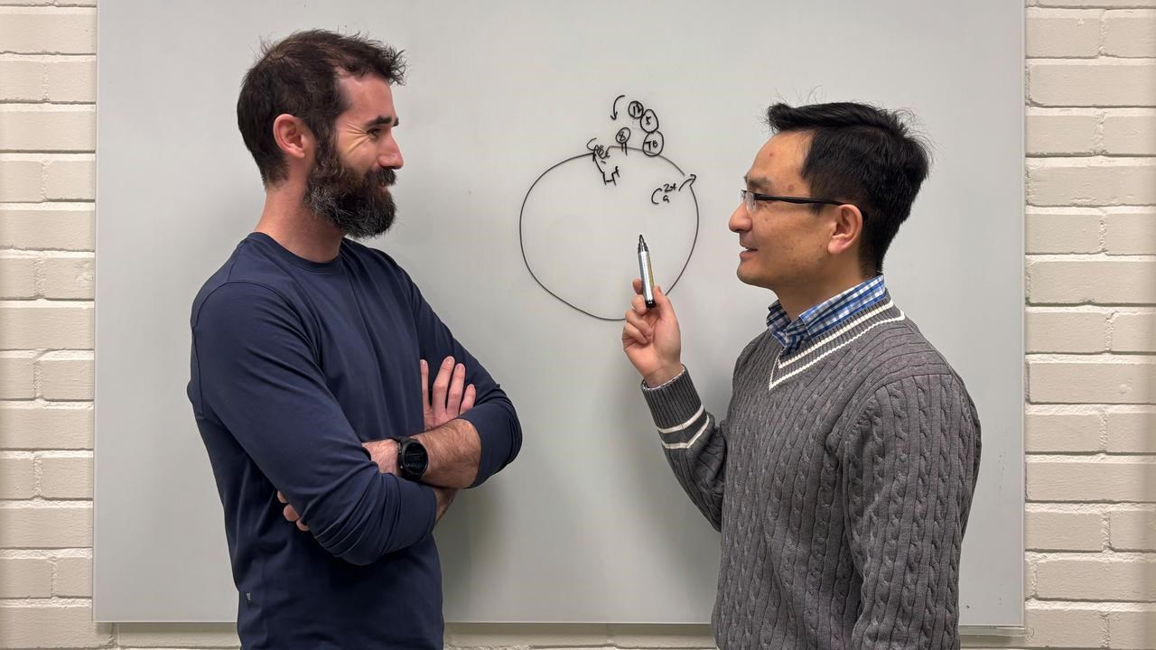 Dale Corkery och Yaowen Wu