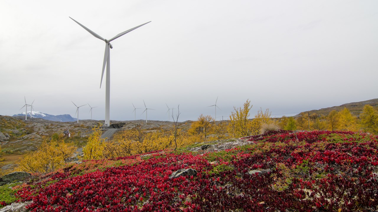 Vindkraft i fjällen.