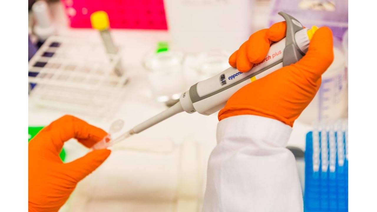 Pipettering i testr&ouml;r