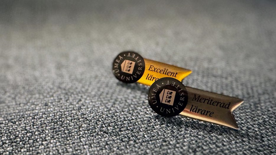 pins for teachers