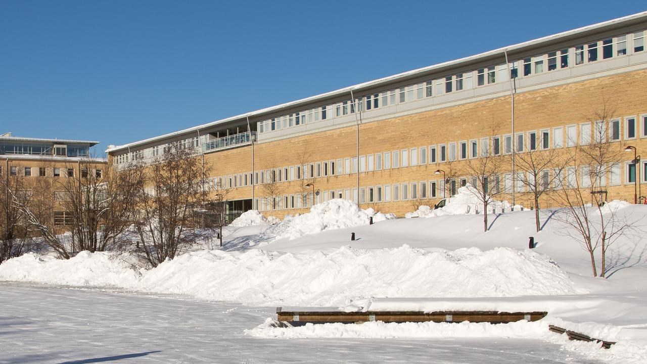 Bild på dammen på vintern