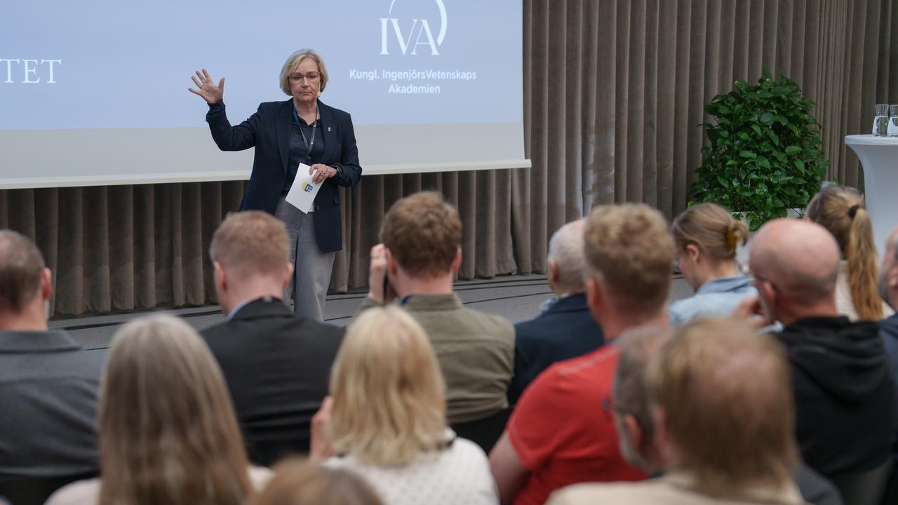 Svenska framtider: Med utblickar fr&aring;n norra Sverige