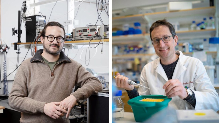 Gå till sida Två Nobelsymposier till Umeå universitet under 2026