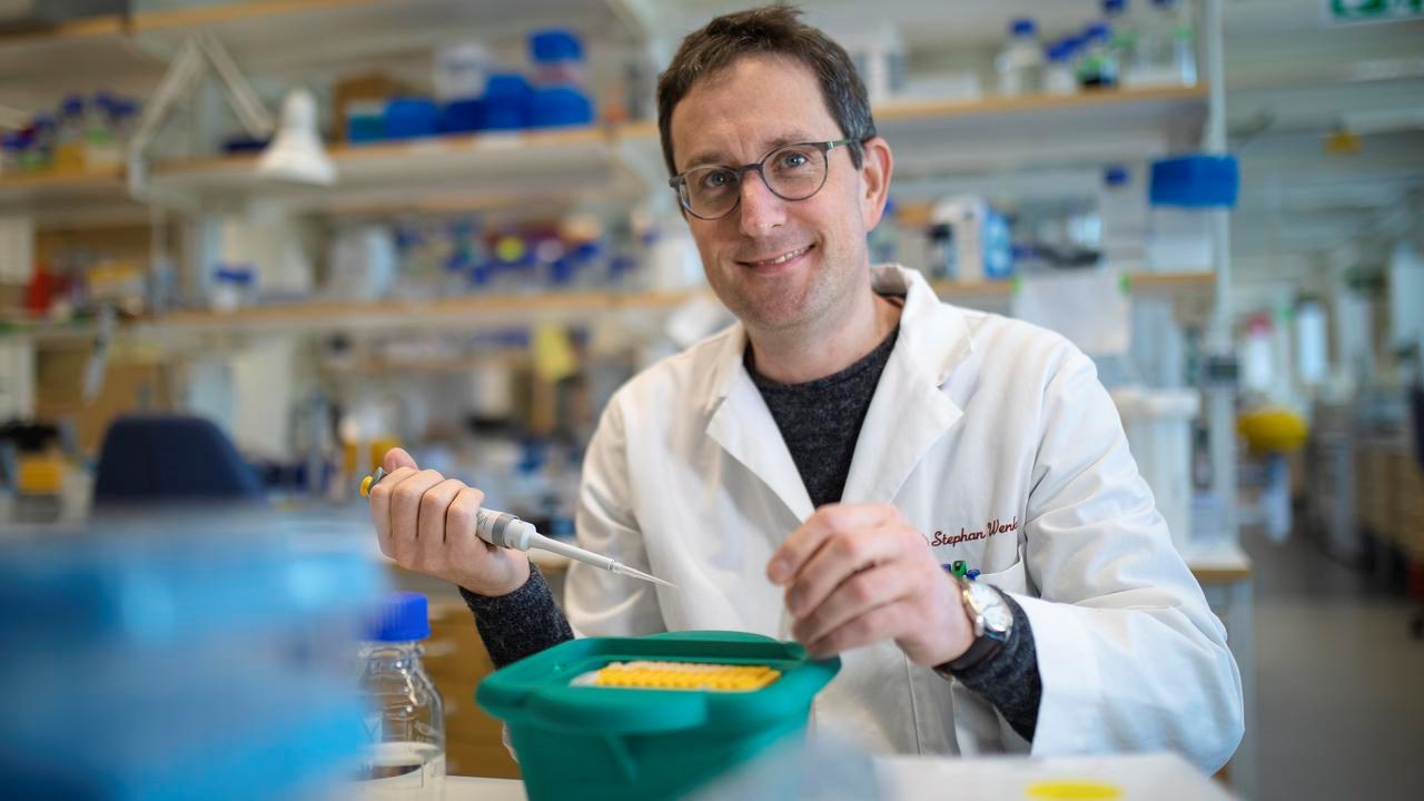 Umeå Plant Science Centre, växtforskning  Stephan Wenkel