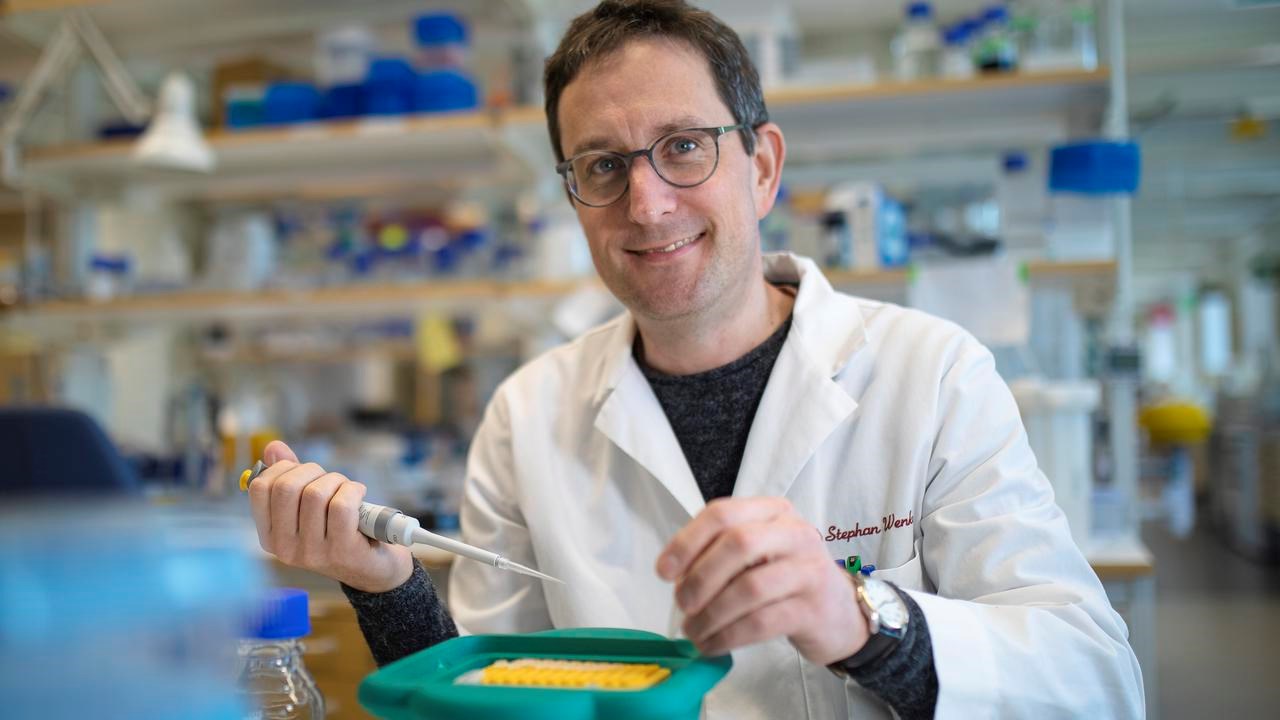 Umeå Plant Science Centre, växtforskning  Stephan Wenkel