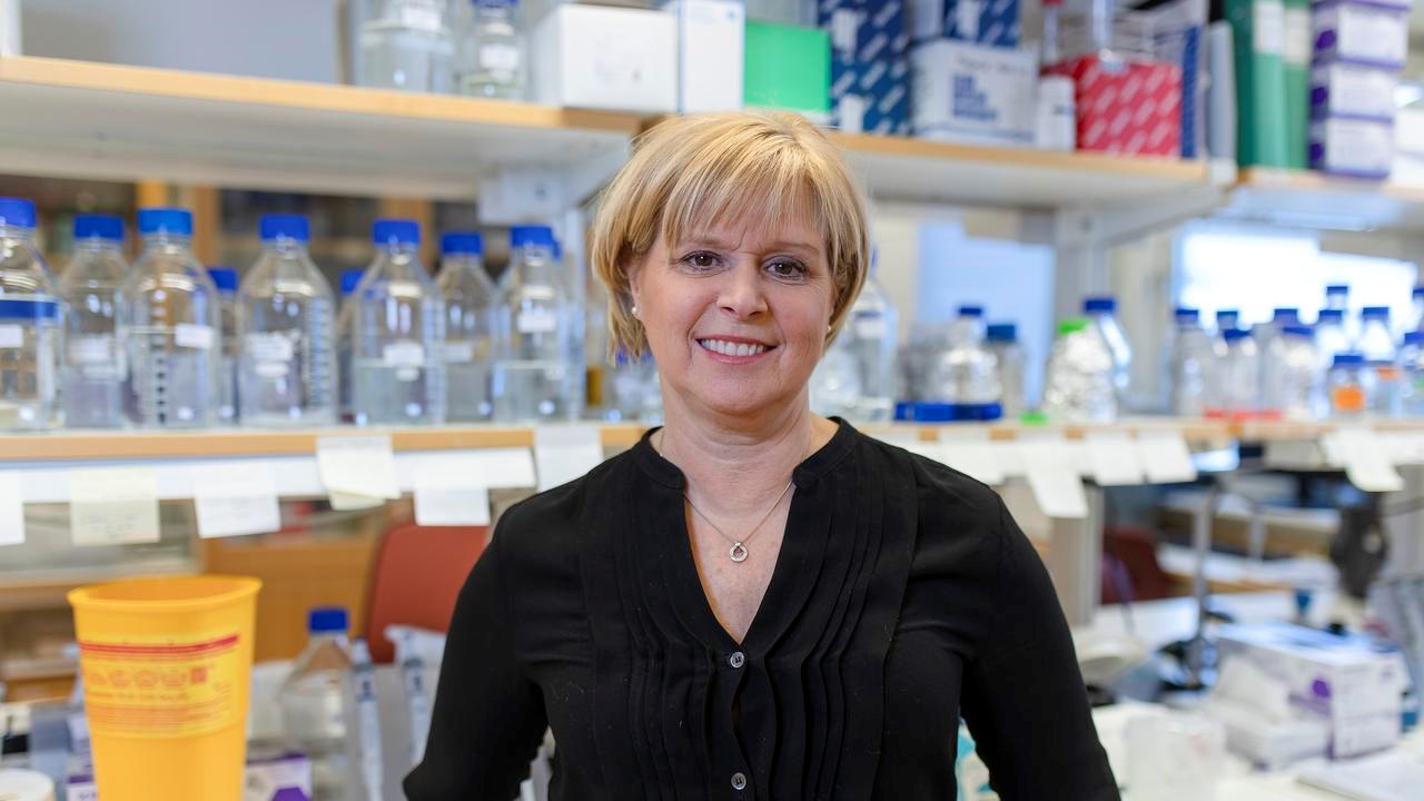 Anna Arnqvist lab