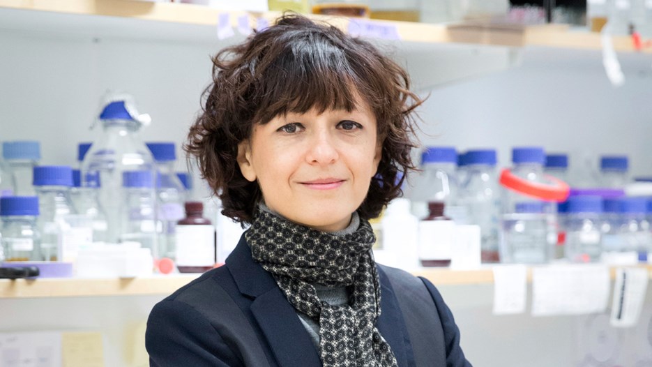 Bild på Emmanuelle Charpentier