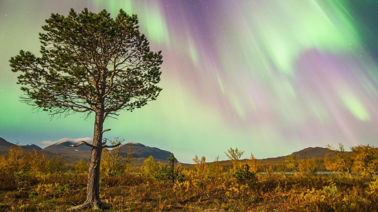 Bild på norrsken över fjällandskap.
