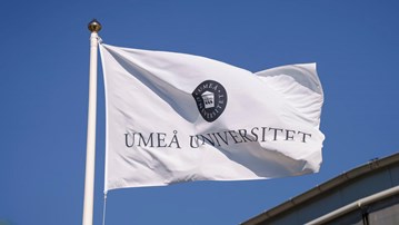 flaggor vid universitetsledningshuset