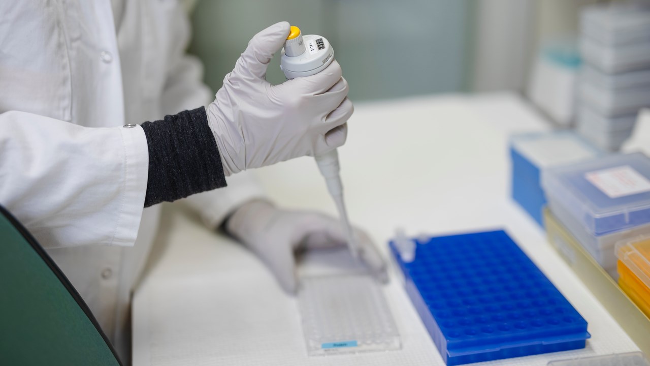 Close-up of samples being transfered to an ELISA-plate by pipetting.