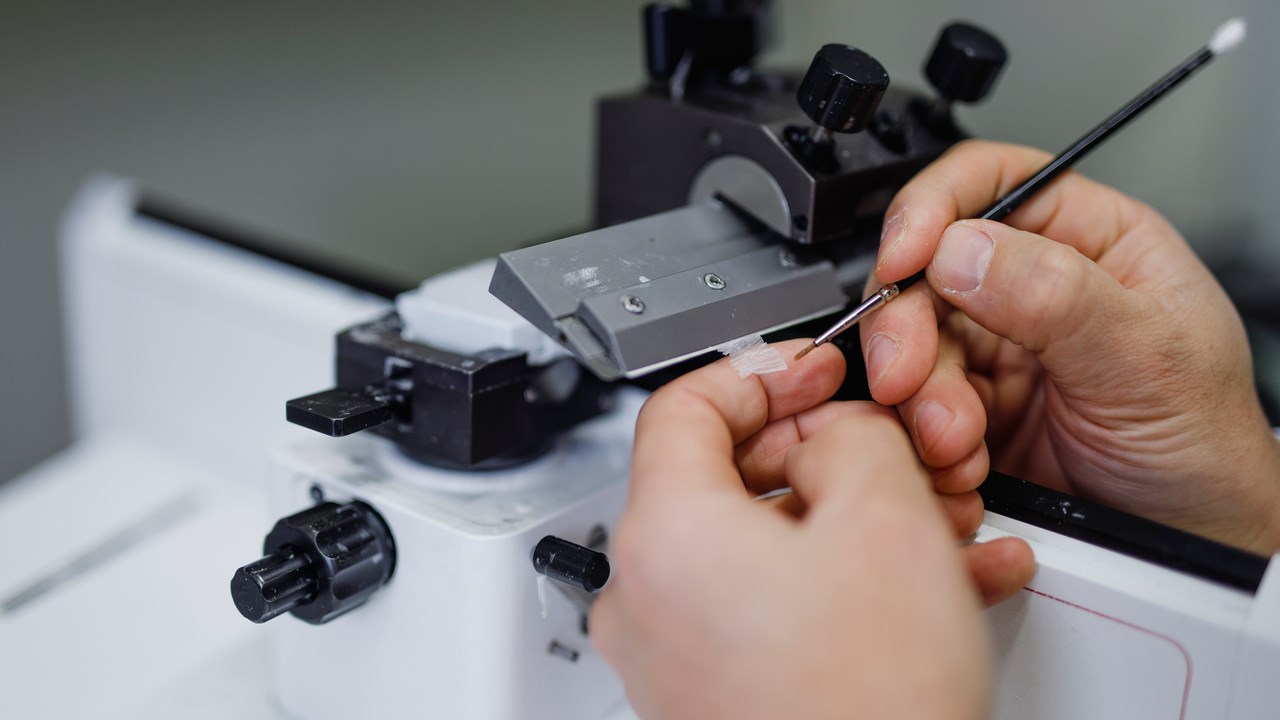 Close-up of a microtome where a thin section of paraffin-embedded tissue is being unwrinkled using a brush.