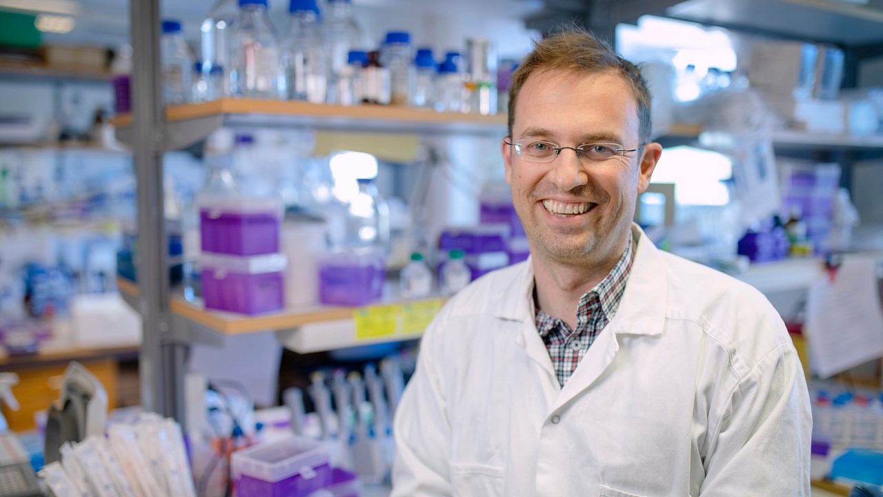 Johan Normark, infectious diseases clinician and associate professor at the Department of Clinical Microbiology, is affiliated to UCMR and  one of the researchers at Umeå university studying COVID-19