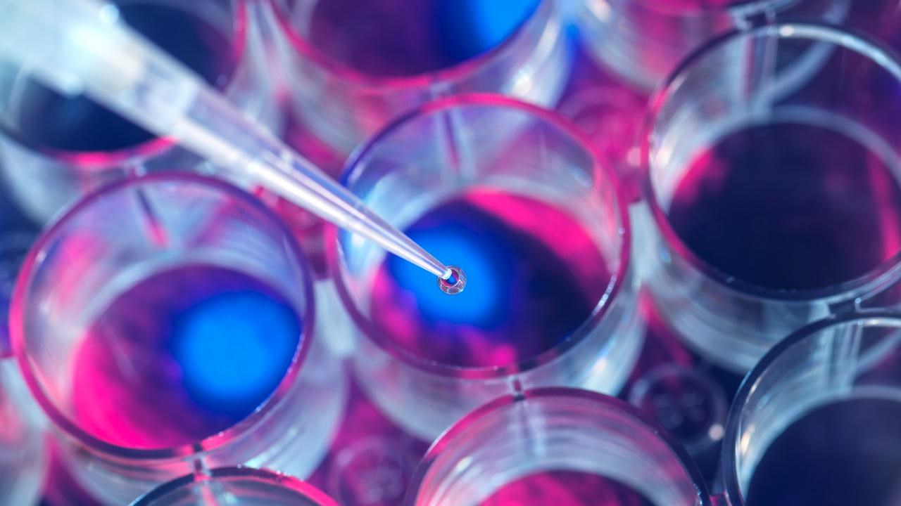 Bild p&aring; pipett som sl&auml;pper droppe i provr&ouml;r