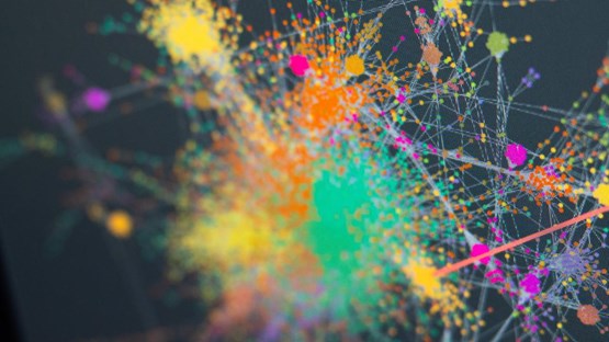 Bild på datorskärm med biologiska data.