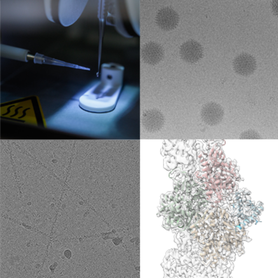 images of microscope and microscope samples