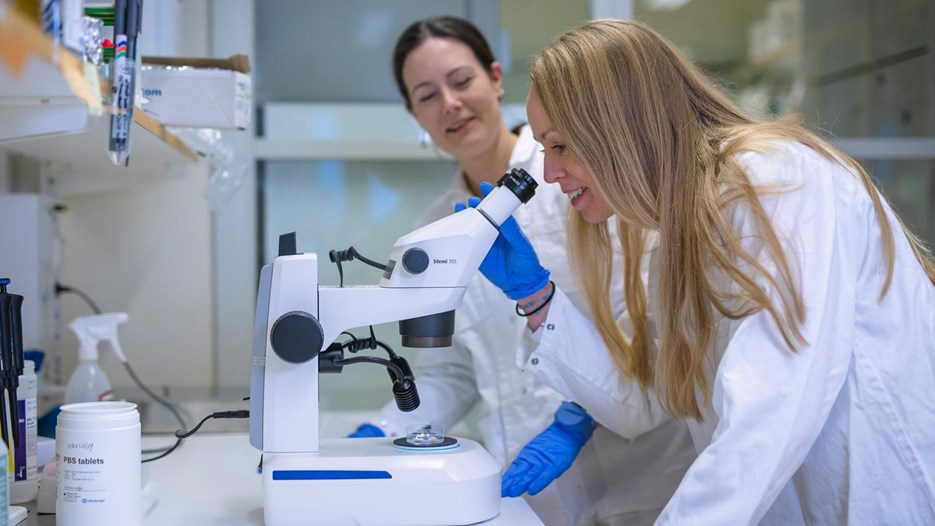 Gå till sida Så är forskningen en styrka i en osäker värld 