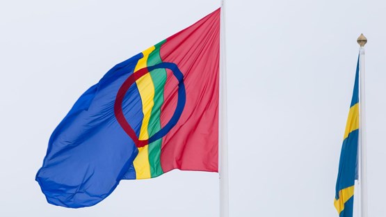 Samisk flagga
