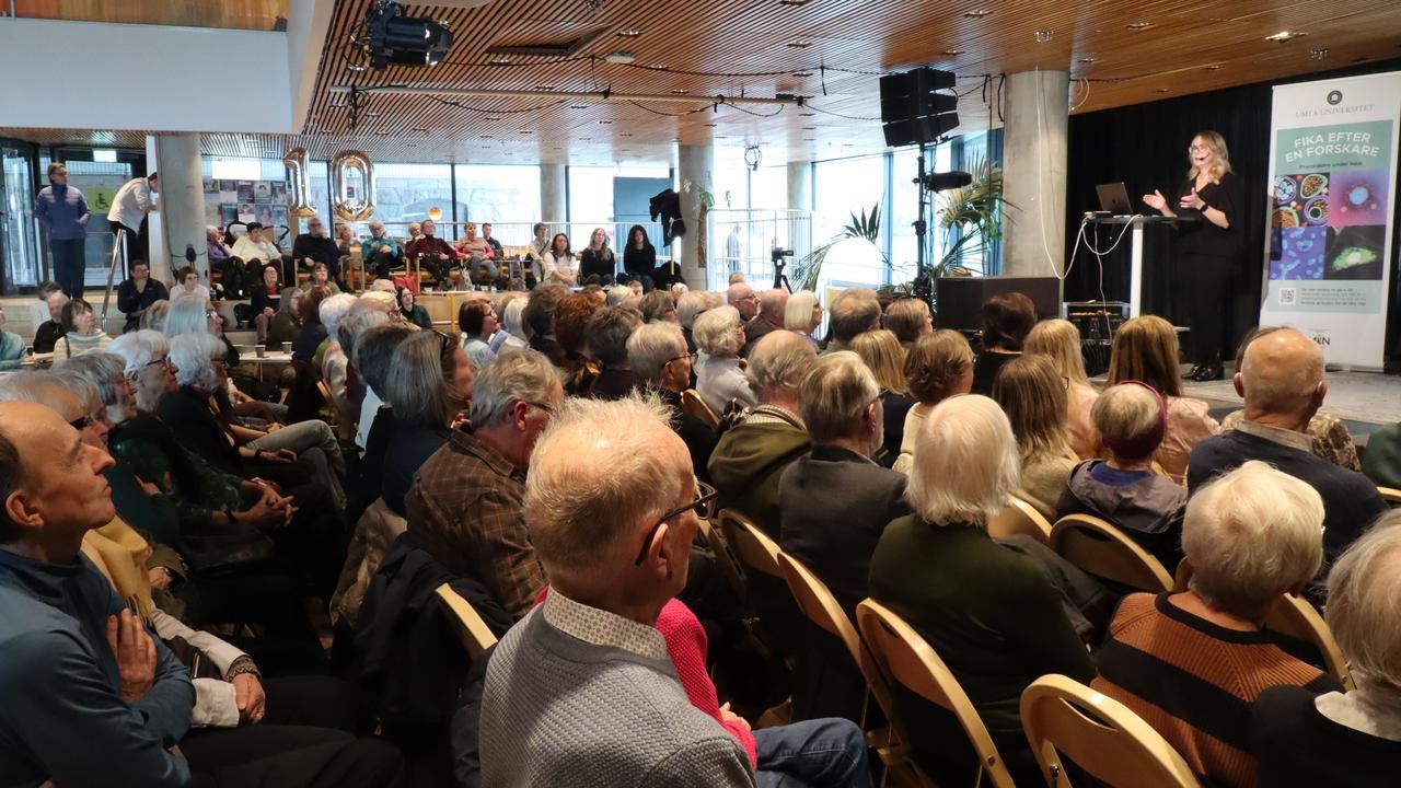 Fika efter en forskare 10 &aring;r