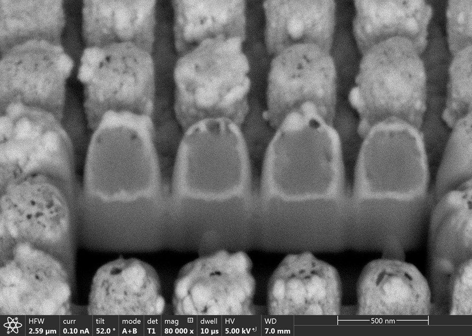 Electron microscopy image