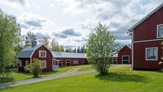 Utomhusbild som visar två röda trähus och en stor ladugårdsbyggnad vilket är Sara Lidmans barndomshem i Missenträsk
