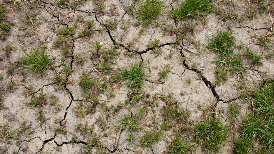 Gå till sida Klimatförändringar kostar redan liv i Europa – och riskerna ökar