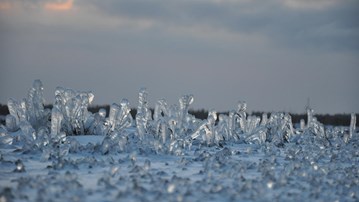 isformationer i gräset