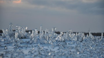 isformationer i gräset