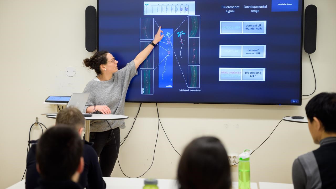 Barbora Parizkova speaks facing a seated crowd , she is pointing to a slide shown on a screen with an image of a plant and its roots shown.