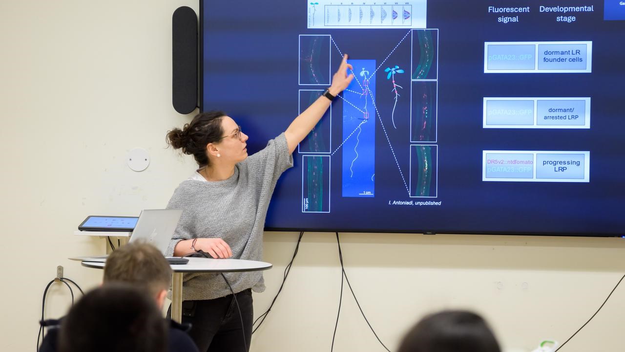Barbora Parizkova speaks facing a seated crowd , she is pointing to a slide shown on a screen with an image of a plant and its roots shown.