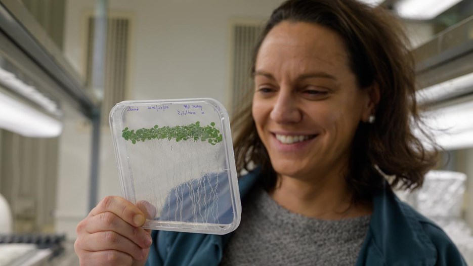 A woman holding up a plastic container with a plant inside of it.
