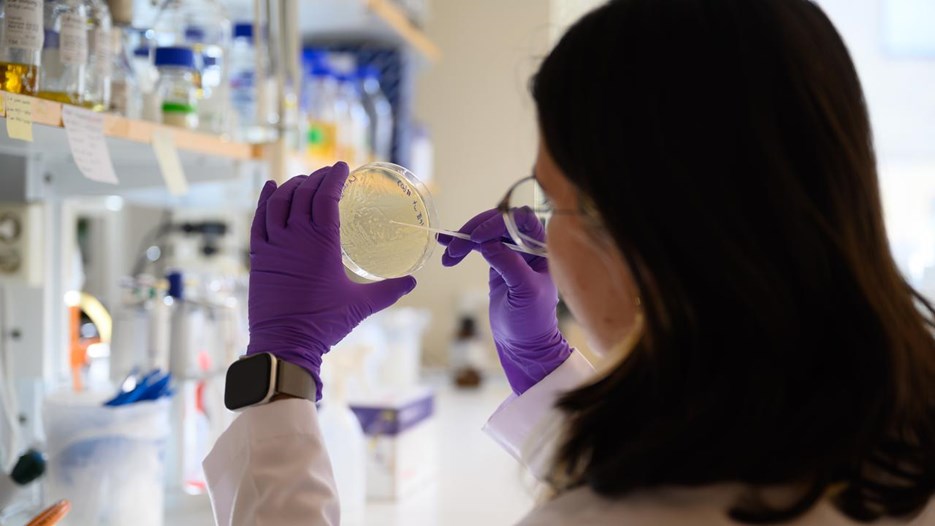 A woman in a lab coat and purple gloves holding a petri dish.